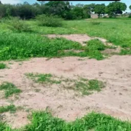 VENDAS DE CASAS E TERRENOS EM POÇÕES