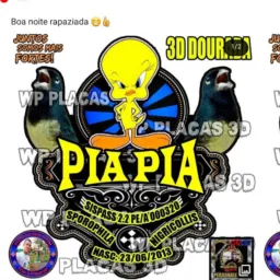 Pássaros d Garapu cabo ds