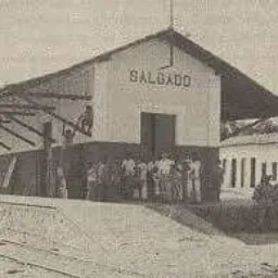 Salgado Da Política