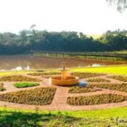 DESAPEGA CAMPO MOURÃO
