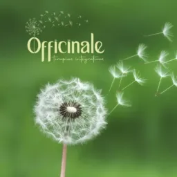 Officinale Terapias