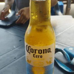 Amigos e notícias Jari
