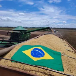 🌱Rezende Confresa e xingu