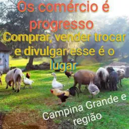 Os comércio é progresso