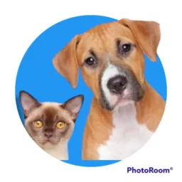 Doação e Adoção de Animais 🐶🐱🐰🦆🐥