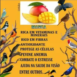 🇸🇲Petrópolis/Teresopolis/Valença/Piraí