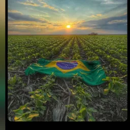Diária 160 paga na hora🌿☘️🌾🌾