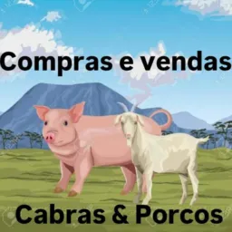 COM.. & VEN..  DE CAPRINOS E SUINOS🐖🐐🐑