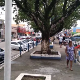 CIDADE ALERTA CAPANEMA E REGIÃO