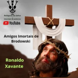 Amigos imortais 1