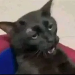 Gatunos