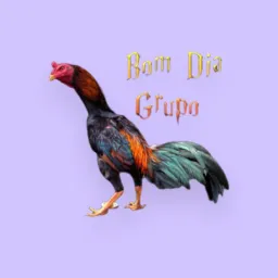 Genéticas  ,variadas de aves raça mura