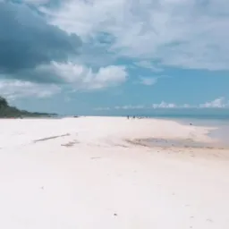 Santarém vendas