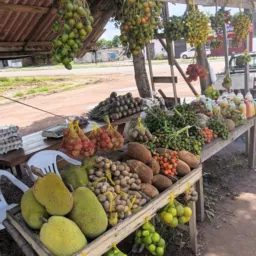 Frutaria do Miltão de frente ao bom gosto 🍌🍉🍊🍋🍋🟩🥥🍍🥭🌽🌶️