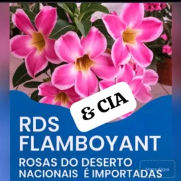 RDs Flamboyant 🌺 CIA ( Vendas e Negócios).