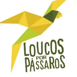 🦜LOUCOS POR PASSAROS🦜