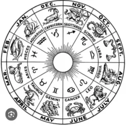 💯% SIGNOS💫⭐⭐🌟