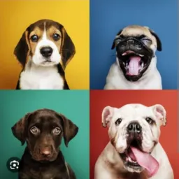 BABY  EM GERAL É  AQUI!