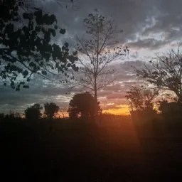 00 Momento vip Ourilândia