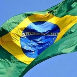 Direita Notícias 🇧🇷🗞️