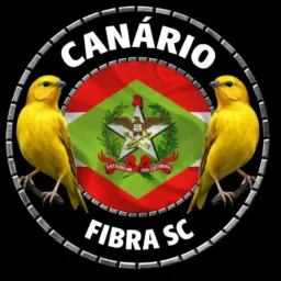CANARIO DE FIBRA SC