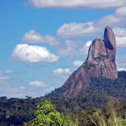 Venda você também