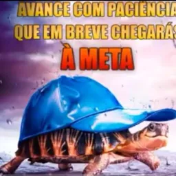 Cacoal e a política