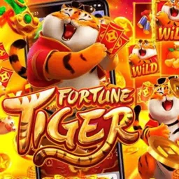 🎰Reino do casino🎰