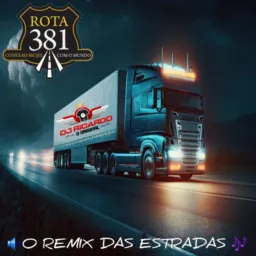 🎧MUSICAS DAS ESTRADAS 381 262 A CONEXÃO PERFEITA BORA MOTORISTA DJ RICARDO O ORIGINAL DA 381