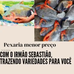 🦈🎣Pexaria menor preço 🐟