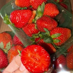 Morangos Fruta das Meninas 🍓- Água Boa