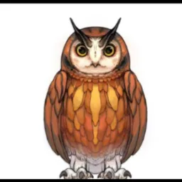 *Coruja jb oficial  🦉*
