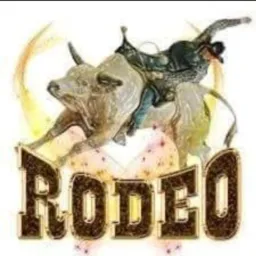 Rodeio 🌾🐃🐄🐂