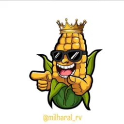 Milharal 2.0 🔥🌽