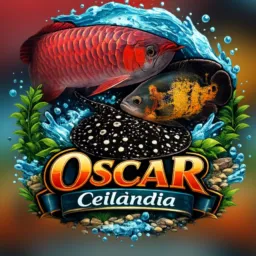 Shopee oscar Ceilândia