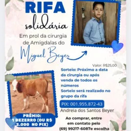 Rifa em prol do Miguel
