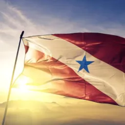 Pará notícias e amizade 🚩
