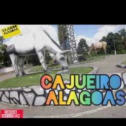 🚖CAJUEIRO NOTÍCIAS 🚒🚓🚕