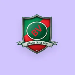 LIGA BV/ANUAL