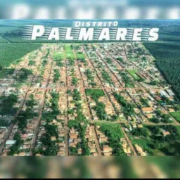 Grupo Palmares 24 //2