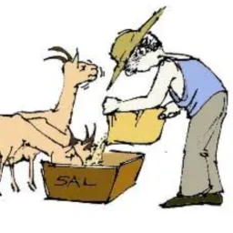 2 Auxiliar do produtor rural