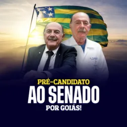 AMIGOS DO ZACHA 🤝🏻🇧🇷