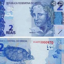 2 reais e nada mais🤑💸