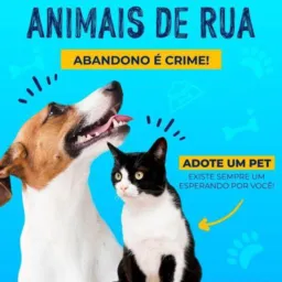 Doação animais de Araguari🐾🐕🐈♥️
