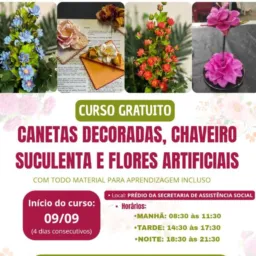 CHAPADINHA CURSO DE FLORES 🌻🌸🌺