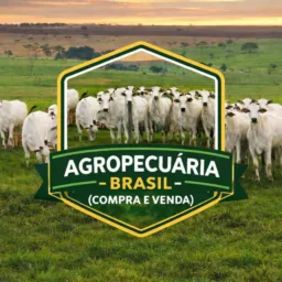 Agropecuária - Brasil (Compra e Venda).