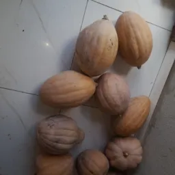 Temos abóboras