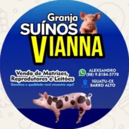 Suínos Vianna Grupo 1