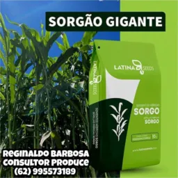 Soluções agrícolas 🌱