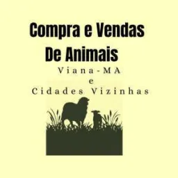 Compra e Venda de Animais em Viana-MA e cidades vizinhas